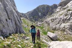 509637776_1336983051485291_7629705292557440698_n