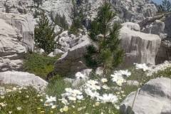 509770573_1336981988152064_5810123289193344179_n