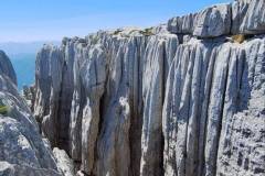 510005461_1336983451485251_6749248184007070887_n