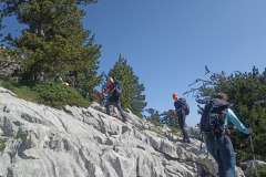 510408003_1336985344818395_8213818099292414355_n