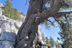 510958756_1336984434818486_6197475106917542946_n