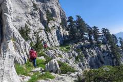 510969971_1336983538151909_656424556655487508_n