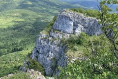 446688956_1034104155106517_1675189490425753323_n