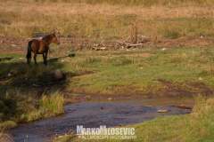 244339179_10158126065036441_8257191490720671267_n