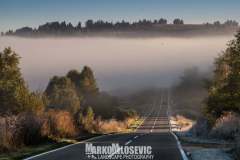 244408756_10158126064676441_3934617776329093023_n