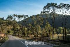 244425899_10158126066426441_3275002632501405132_n