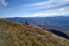 311482400_617915993392004_5620071824585799063_n