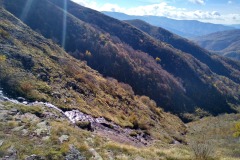 311520162_617915680058702_6600993174352262627_n