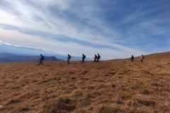 311663142_617915523392051_4964019196590916988_n