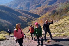 311979001_617915936725343_927871780088252536_n