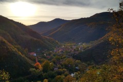 312317659_617916120058658_5919950188370918249_n