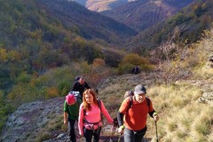 312352295_617915743392029_6615588578191013095_n