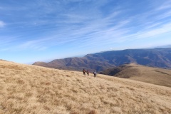 312570141_617915453392058_878720370537400110_n