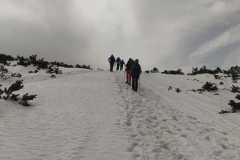 434391644_993792499137683_8684252739777582609_n