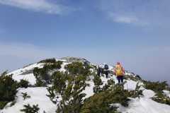 434499293_993792439137689_4014810228246368490_n