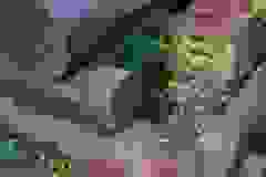 461296595_1120058073177791_2435526595511460624_n