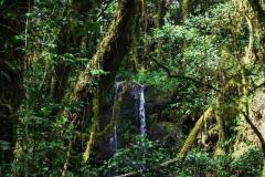 656848582_1584732326710361_4371037095545369378_n