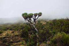 659683520_1584732180043709_5061252097761502896_n