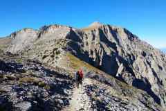 308540752_593577615825842_2294037899092669143_n