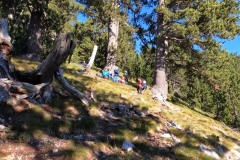 308636872_593580009158936_6388625394173995140_n