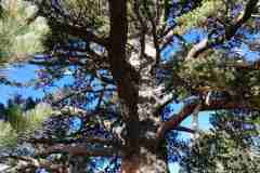 308803386_593579115825692_1466547865042727056_n