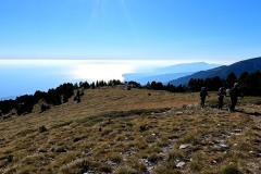 308877255_593575259159411_6679395266974817019_n