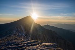 309199644_593576302492640_1285999044518640143_n