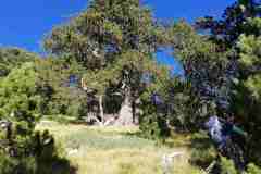 309348496_593578335825770_3605155396689124422_n