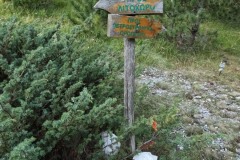 309479696_593578285825775_8338137594837865278_n