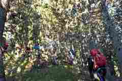 309585742_593577299159207_6431256193795987214_n