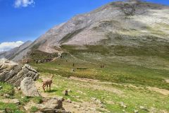 362302326_830360955480839_6137276299501599152_n