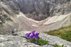 365062177_830361125480822_2709586425766914933_n