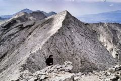 365094064_830361028814165_7529086248997380407_n