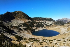 312601400_621929129657357_1755693461862633736_n