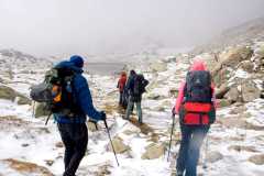 313398684_621929229657347_6950325802527775609_n