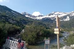 504021386_1325361305980799_4513372572300140069_n