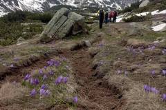 504352023_1325361415980788_2868670965490247940_n