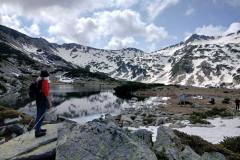 504527478_1325362345980695_6207807855748115318_n