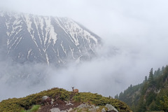 504754307_1325362932647303_796353928501338730_n