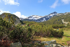 504956820_1325363215980608_6502855657616795929_n