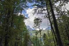 291913819_10158579458556441_140900484247660509_n