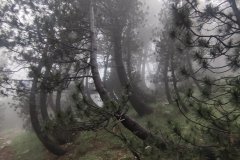 292230490_10158579460856441_188920207524178509_n