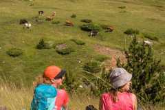 358150537_829584588891809_620779080345949755_n