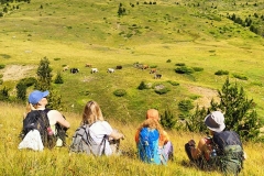 358737698_829583842225217_5619645783388141884_n