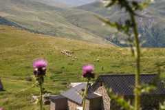 364757622_829584878891780_308291712785105648_n