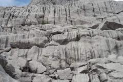 217396939_10157967685826441_9086687985821356833_n