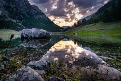 217553232_10157967684951441_775410039809274335_n