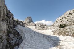 217758662_10157967687136441_8324906929649313062_n