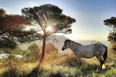 311128351_614166720433598_5301229689348866917_n