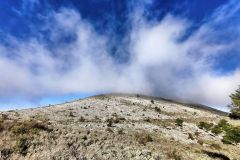 311736370_614166937100243_5138305366690435439_n